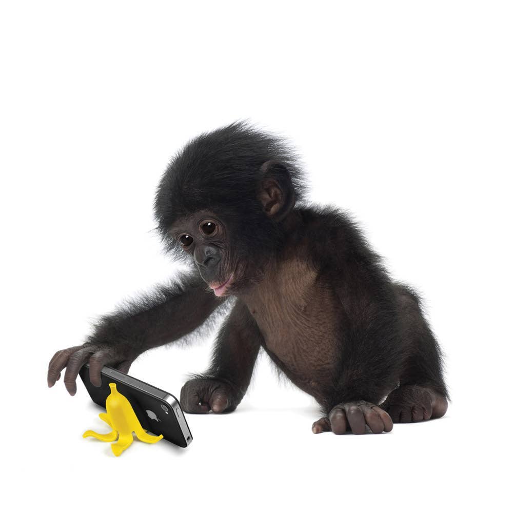 Banana Stand - Phone Perch